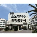 [웨딩홀투어] 2025 제주 소노벨 웨딩 후기, 견적 공유