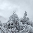 🌨진양기맥 1구간 (영각사~남령) ＜🎵 🎶＞ 이미지