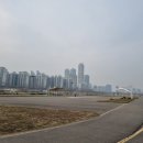 영롱이인라인 이미지