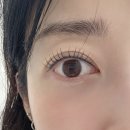 뷰티율 | [인천/영종]예뻐지는공간뷰티율왁싱샵, 영종도 속눈썹 펌