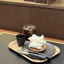 광야목장 | 천장을 뚫고 쏟아지는 별들