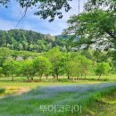 생기자리공원 입구 투어코리아