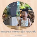 네이쳐소스 | 의왕 아이랑 가볼 만한 곳, 테라리움 카페 네이처티파니 물고기 먹이주기 체험 후기