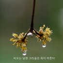 ☔유리창엔 비 이미지