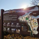 369 | 성북 성곽마을 전통 구옥에서 즐기는 성곽 뷰 카페 | 카페 369마실 후기