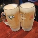 크라운호프망포태장