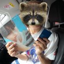 갈남스테이 이미지