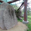 영풍두월리약사여래석불 이미지