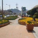 장성역광장 이미지