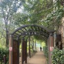 역곡배드민턴장 이미지