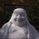 도은 카카오 검색결과