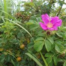 몽산펜션 이미지