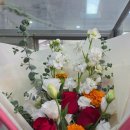 서울화원 | 과천꽃집 /새서울화원 취임분재와 화환 후기