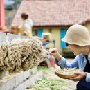 중기목장 이미지