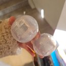 소림마라 구미선산점 | 무한을 펼쳐 이 감정은 Violet 숨결처럼 일렁거려 비춰진 미로같은 view Not bad 불완전한 느낌 비대칭...