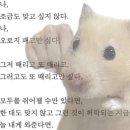강*기 네이버블로그