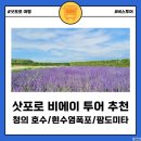 황가농장 | 삿포로 비에이 버스투어 (여름 추천): 6월 라벤더 개화상황 (팜도미타, 사계채의 언덕)