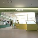 푸드앤푸드 이미지