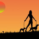 서울특별시동부여성발전센터-7 이미지