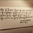 블로 이미지