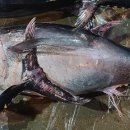 이례수산 이미지