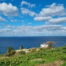 울릉도 카라반 1호 이미지