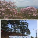 화학산등산로 이미지