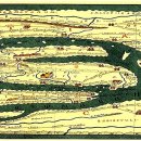 주식회사 로마 이미지