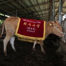 제주축산농협 축산물공판장 이미지