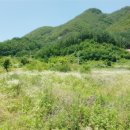 광릉불고기(포천점) 네이버블로그