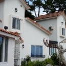 독채팬션멜로디 이미지