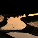 사포마을 이미지