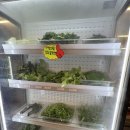 세븐일레븐 의정부중앙본점 | 의정부 고기집 대패상회 본점 시내에서 가성비 있게 삼겹살 실컷 쌈싸먹고 온 후기