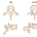 SM복싱클럽 6관 이미지