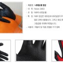 뉴앤리뉴 Daum카페
