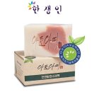 한생인 이미지