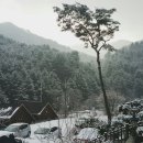 에스앤제이(S&J)