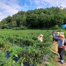 수비면행정복지센터 이미지