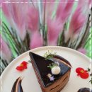 파스타스토리 이미지