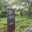 한라수목원 이미지
