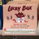 럭키켄넬 | 24시 무인펫샵 견생냥품 강아지 랜덤박스 언박싱 내돈내산 솔직후기