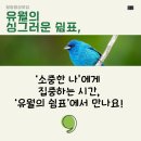 일상의 쉼표 힐링명상 이미지