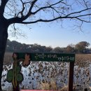 강주연못 | 11월 진주 가볼 만한 곳 강주연못 산책 후기 (가을 감성 가득