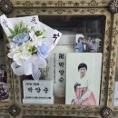 봉안당 추모꽃(26.10.1./3186) 이미지