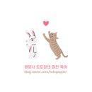 리토토 | 닥터리의 로하스밀 이유식 후기 : 까다로운 아이 입맛에도 딱 맞는 영양 가득 유아식