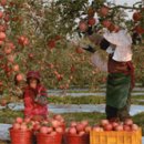 탈춤페스티벌로 가을을 연다!‘사과와 참마의 고장’안동 이미지