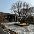 도문자작 이미지