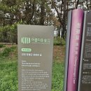 단종 유배700리 영월 청사포로 이미지