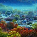 비밀의정원 이미지