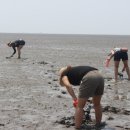 동백꽃마을 이미지